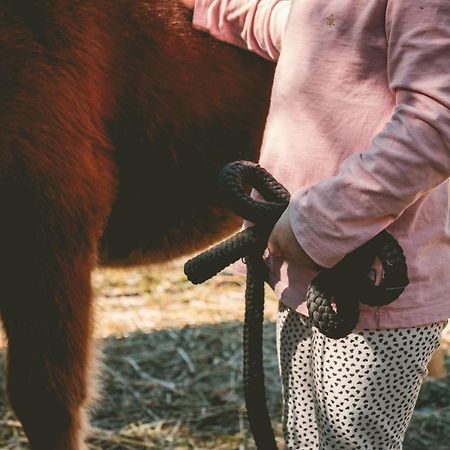 Familienhotel Replerhof Mit Kinderbetreuung Prägraten Zewnętrze zdjęcie